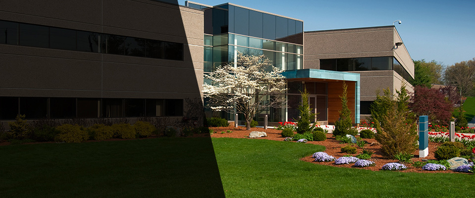 Little Neck Landscapers