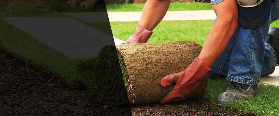 Little Neck Landscapers